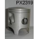 PX2319